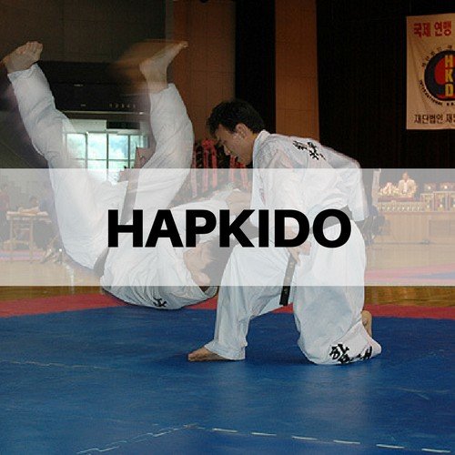 Hapkido 2 hapkito