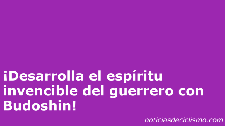 ¡Desarrolla el espíritu invencible del guerrero con Budoshin!