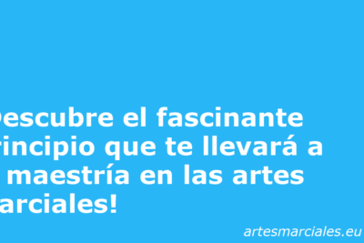 ¡Descubre el fascinante principio que te llevará a la maestría en las artes marciales! 1
