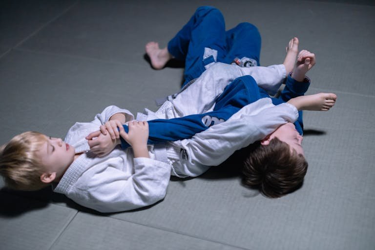 Boy in White Karate Gi Grappling Arm of Boy in Blue Karate Gi