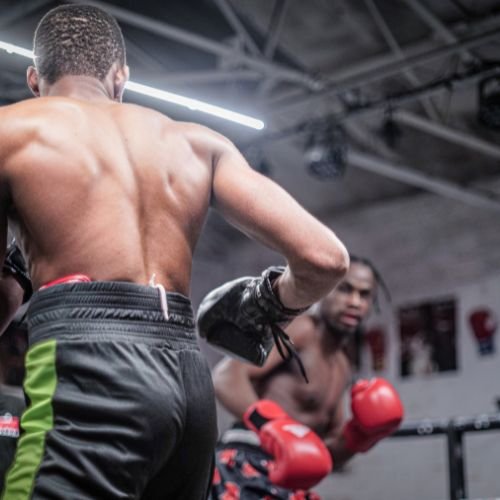 El Mejor Equipamiento para Artes Marciales y Deportes de Contacto 1