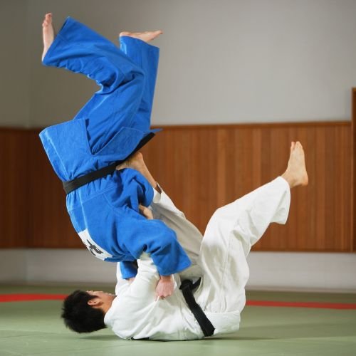 El Mejor Equipamiento para Artes Marciales y Deportes de Contacto 2